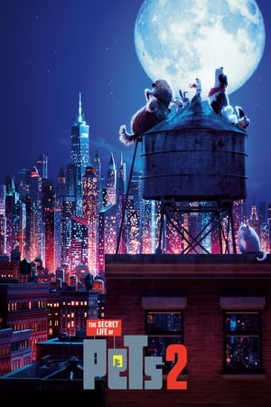 The Secret Life of Pets 2 (2019) Hindi (Original) Dual Audio 300MB HD Poster Download - filmyfly