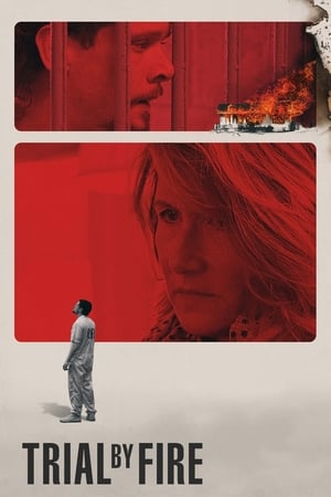 Trial by Fire 2018 Hindi Dual Audio [1GB] HD Poster Download - filmyfly